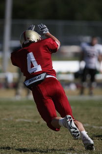 米兰体育网页版登录-中超球队赛前战术布置与实战还原度评估，中超比赛分析